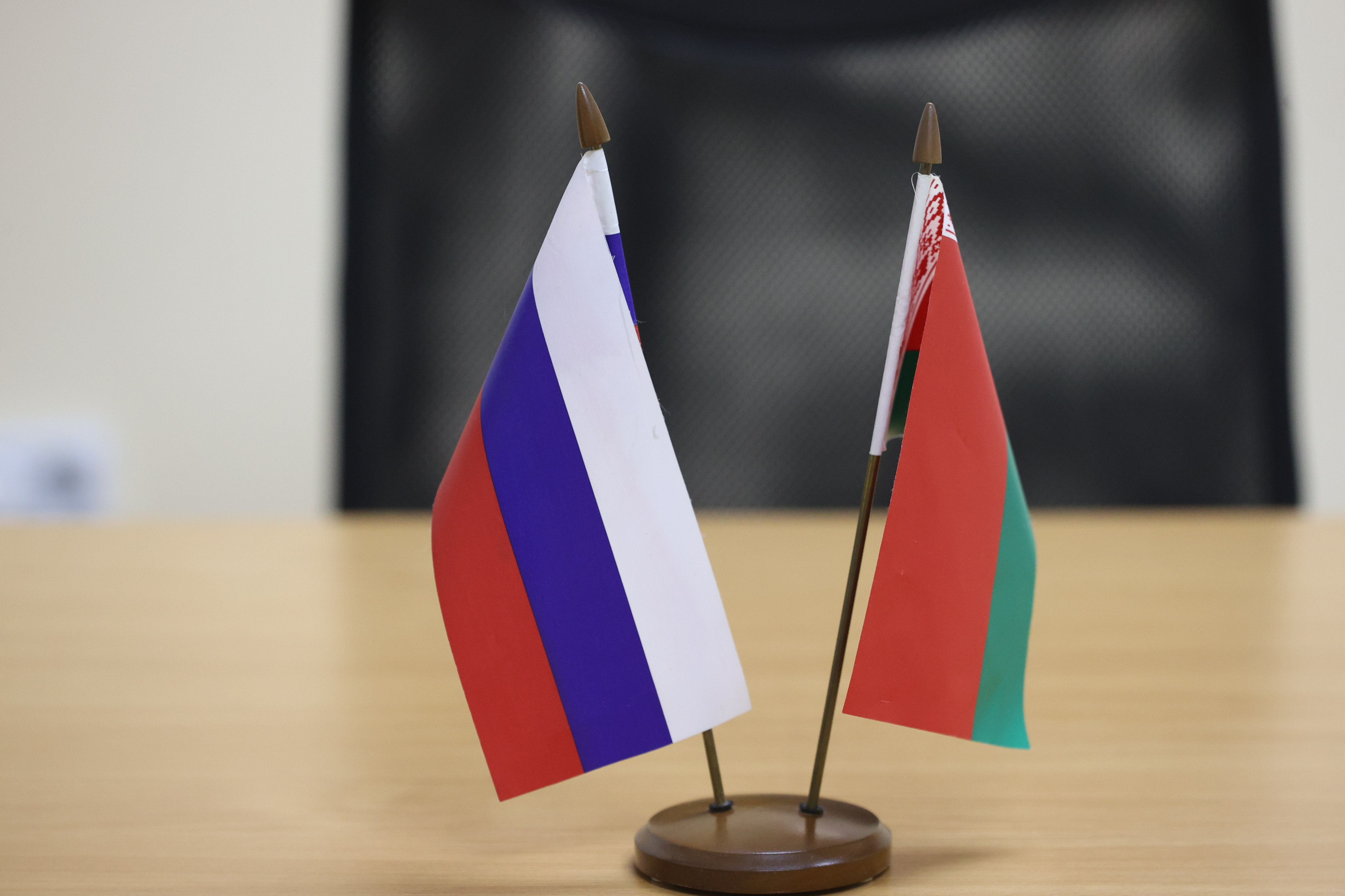 Россия и Беларусь согласовали проект меморандума по вопросам обеспечения биологической безопасности
