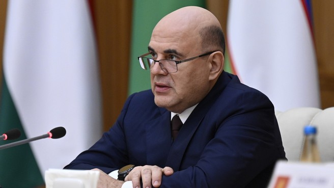 Мишустин предложил наладить диалог между финрегуляторами стран СНГ