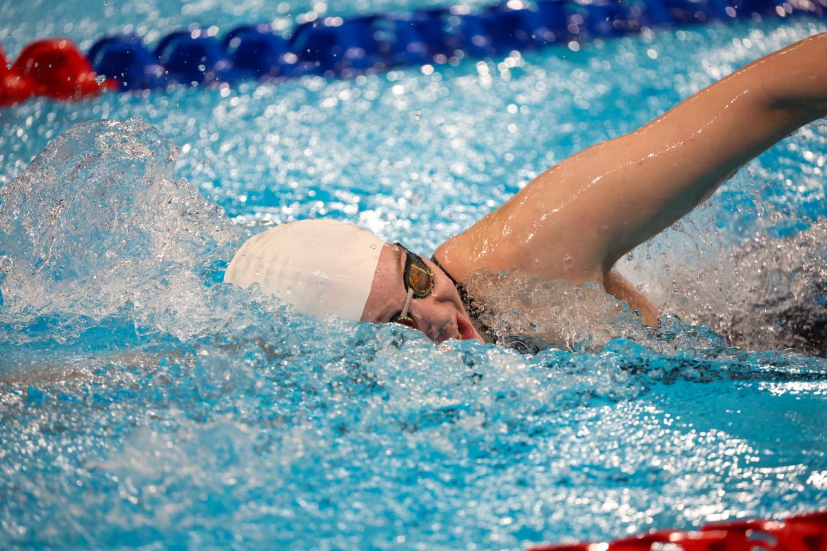 Брест примет соревнования по зимнему плаванию "Кубок Дружбы"