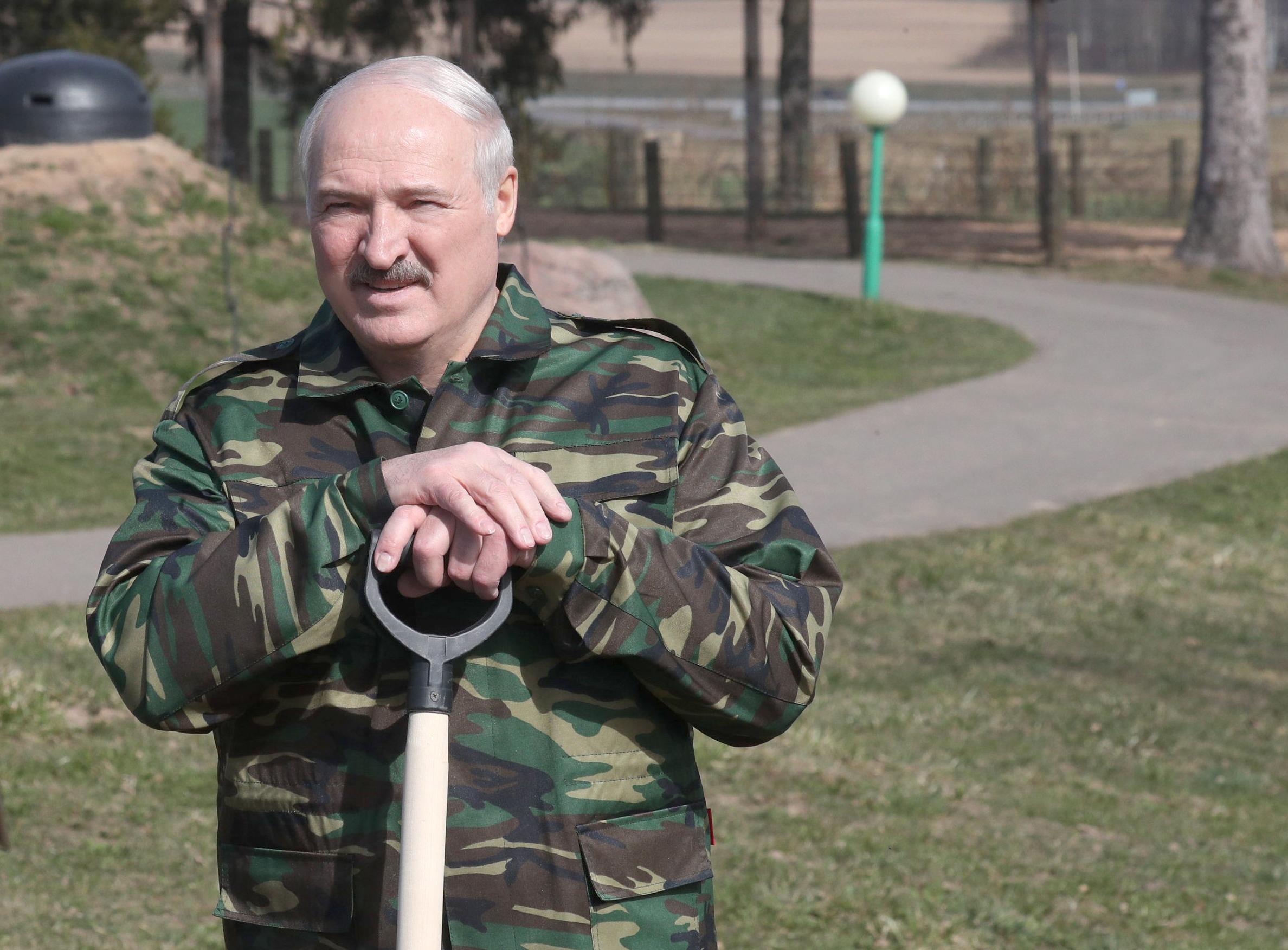 Лукашенко высаживает яблоневый сад на своей малой родине
