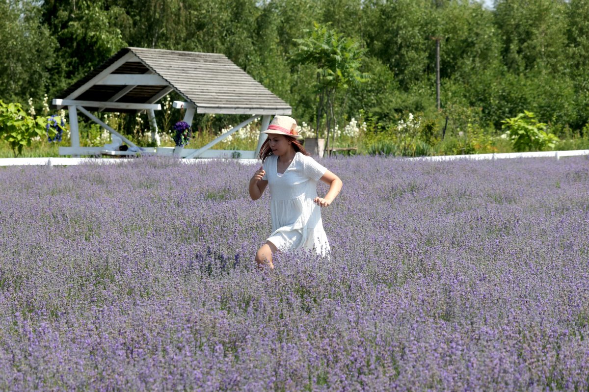Научно-популярный туризм: стартует конкурс для студентов России и Беларуси