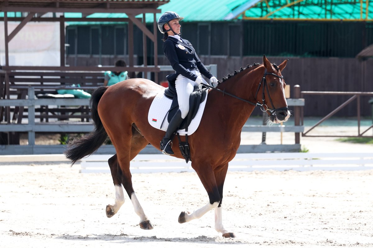 Под Минском дали старт соревнованиям Кубка СНГ по троеборью