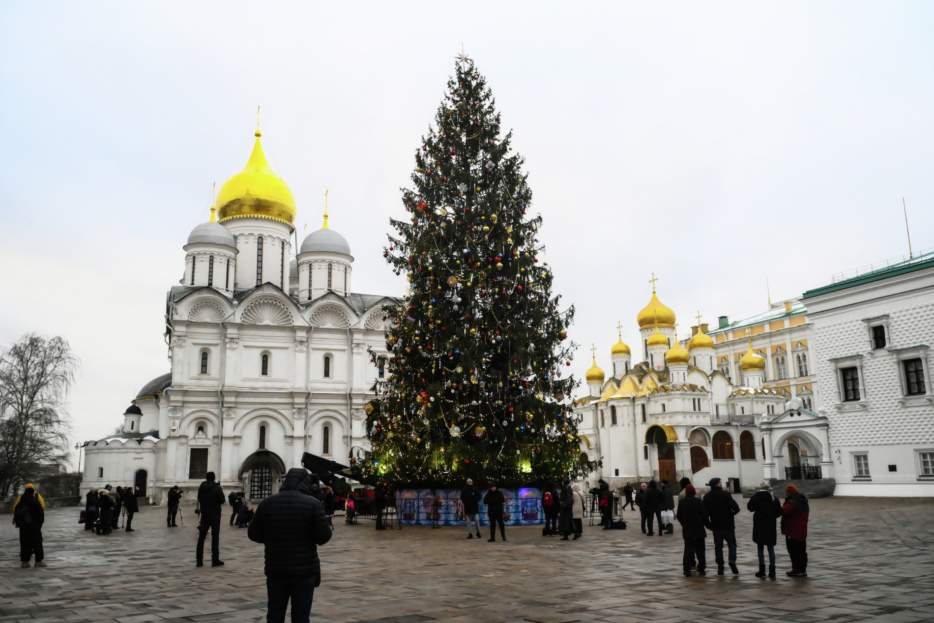 На Соборной площади в Кремле презентовали главную новогоднюю елку России