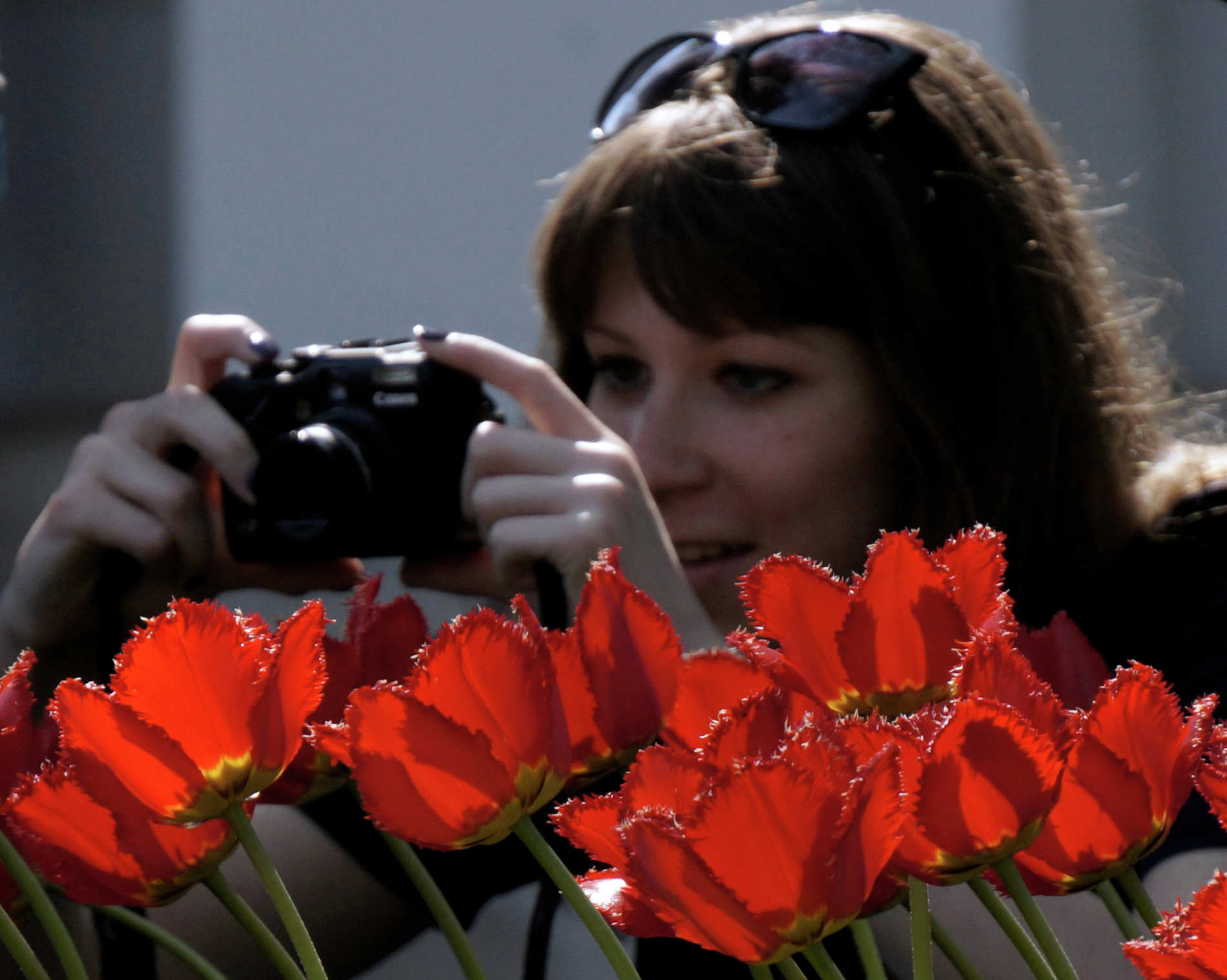 У берегов Невы прошел XII ежегодный Фестиваль тюльпанов