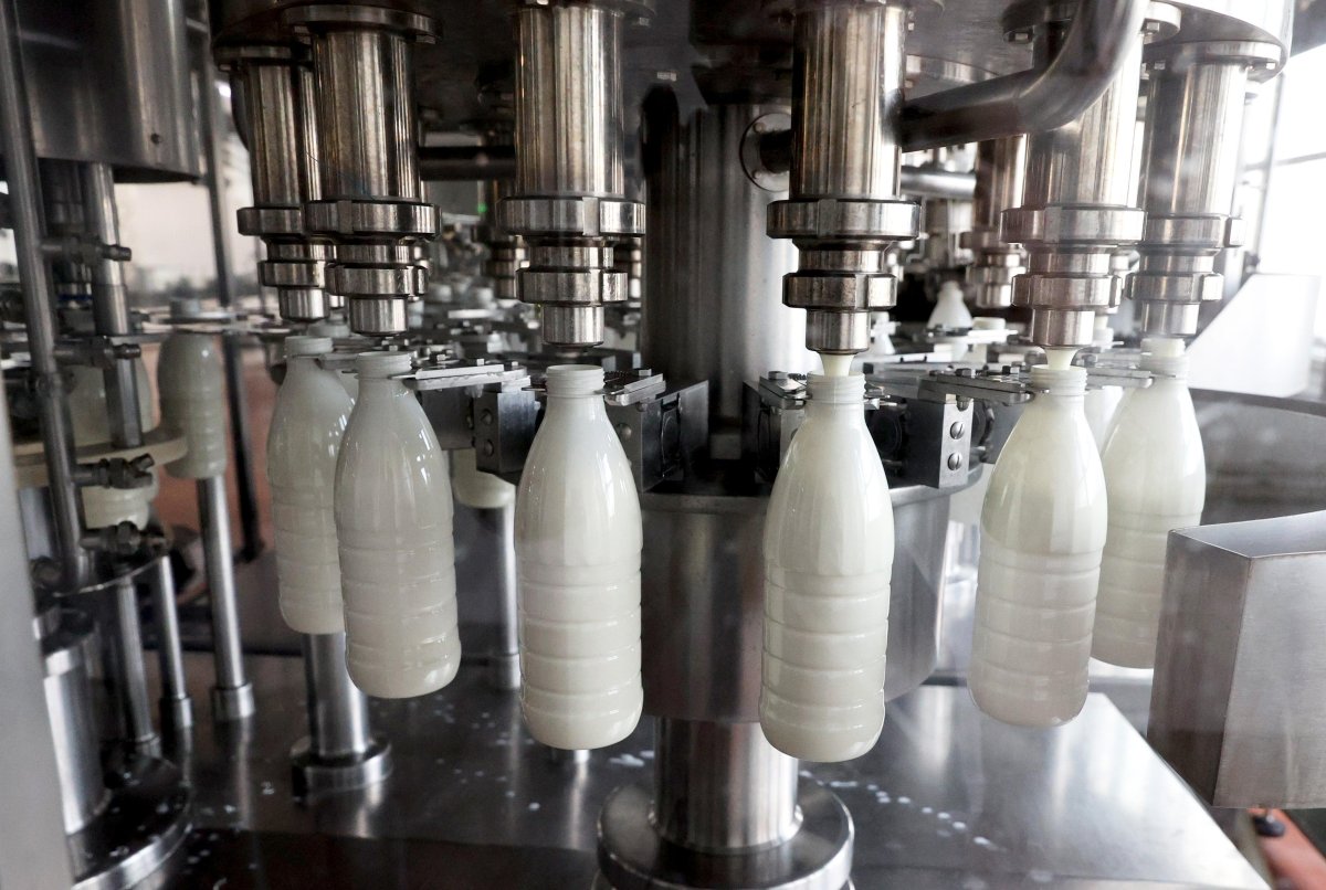 Ассортимент белорусской молочки в России расширится