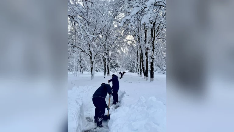 Власти Кубани ввели режим ЧС в Апшеронском районе Краснодарского края из-за обильного снегопада.