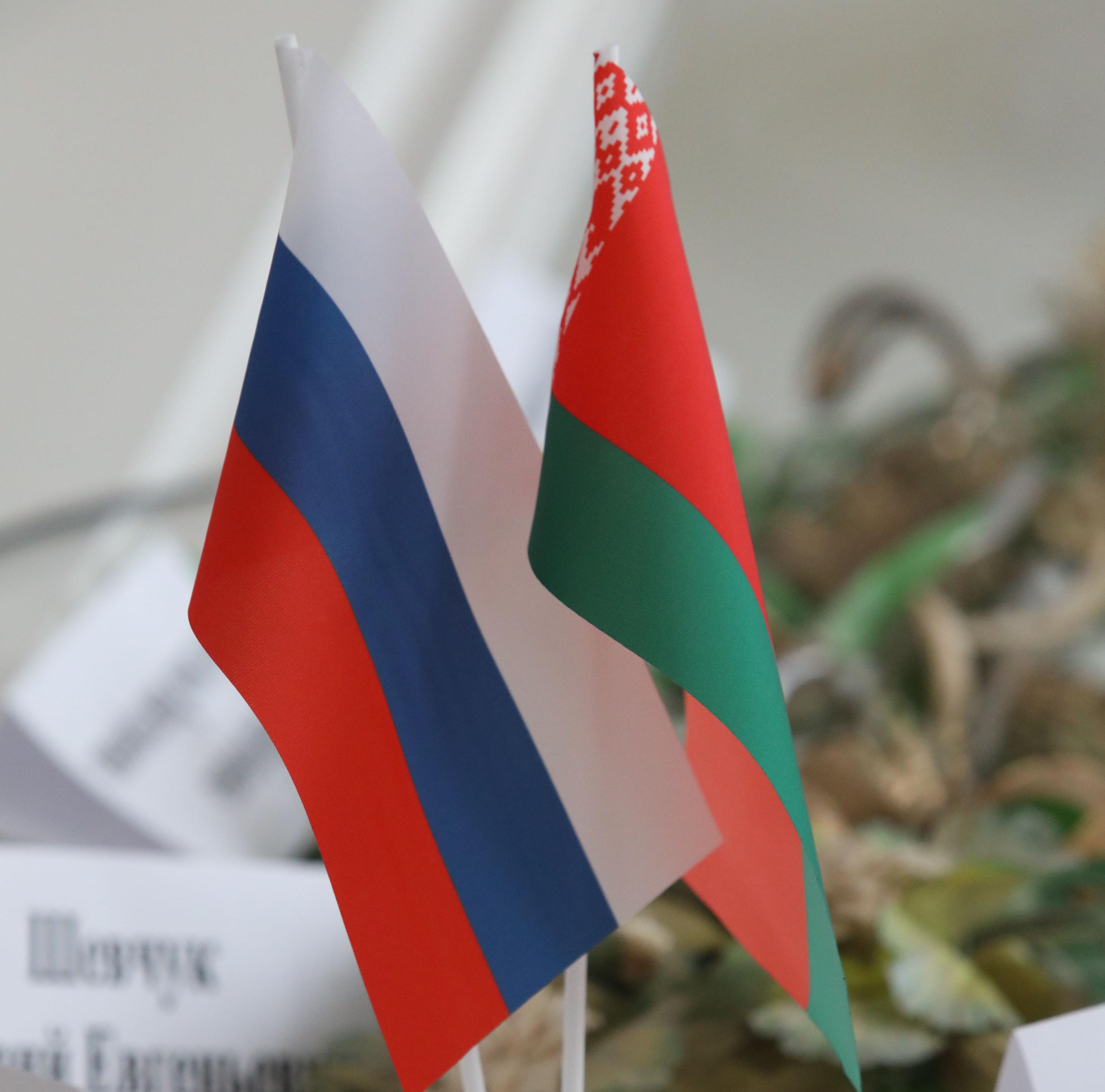 Вице-президент РАН: Сила Союзного государства – в единстве научно-технологического пространства