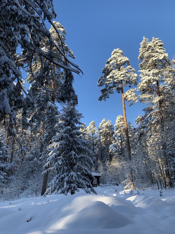 Морозы до минус 30  градусов ударили по Центральной России