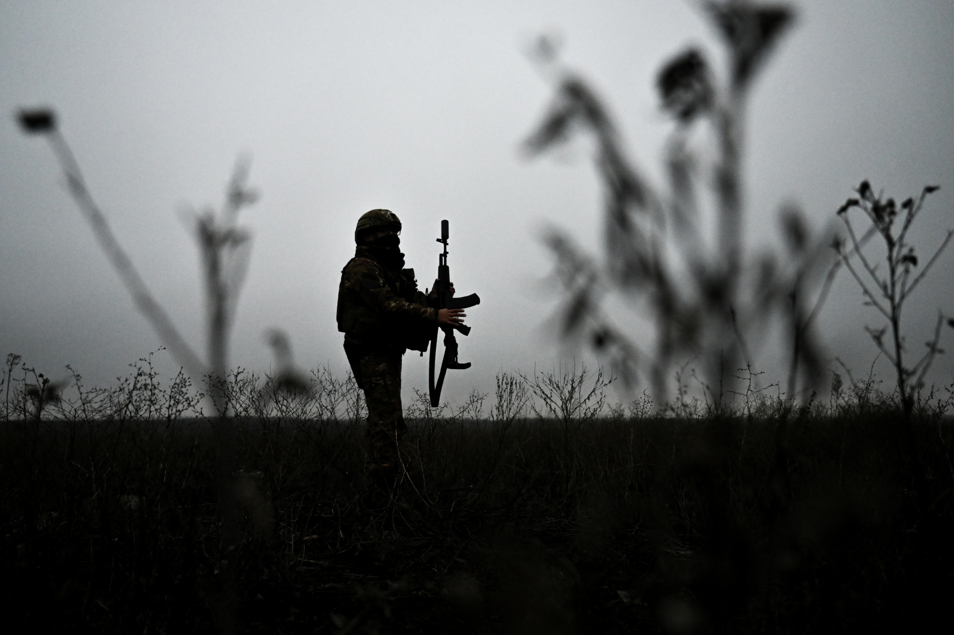 Российские военные освободили населенный пункт Катериновка в ДНР