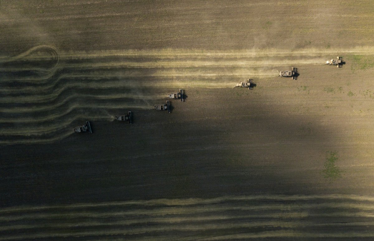 В России увеличат финансирование субсидирования льготных кредитов для аграриев