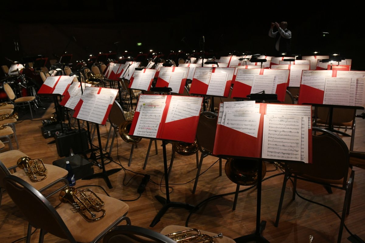 Музыка единства: ульяновские и донецкие музыканты сыграли симфонию Шостаковича