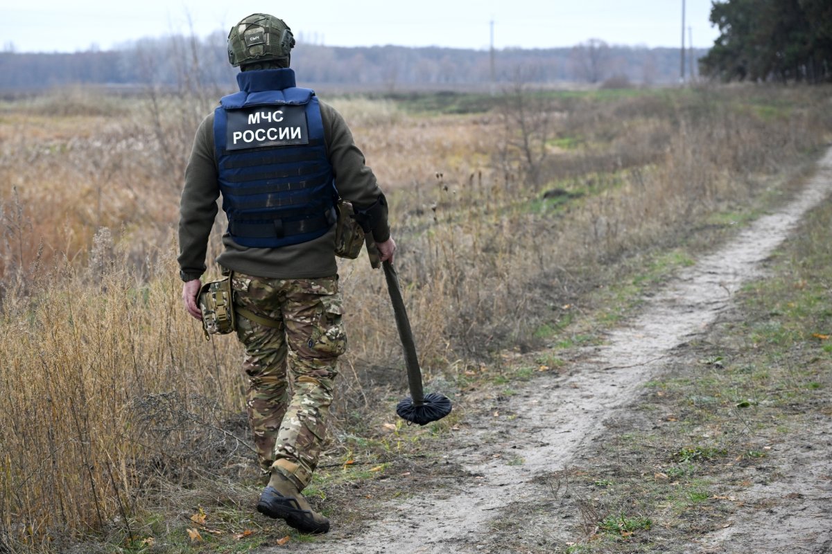 Работы по разминированию Курской области продолжаются: очищено более 330 гектаров