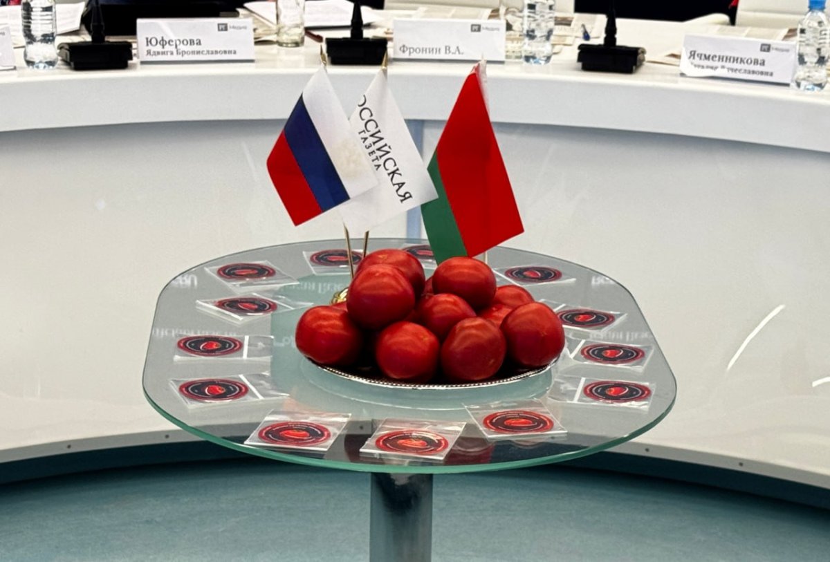 "Помидоры в космосе": межрегиональный проект школьников из Беларуси и России