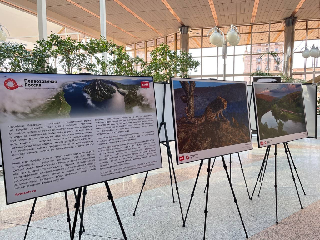 Фото: Лилия Исмагилова/БЕЛРОС