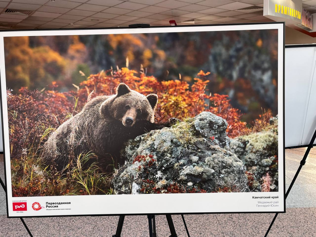 Фото: Лилия Исмагилова/БЕЛРОС